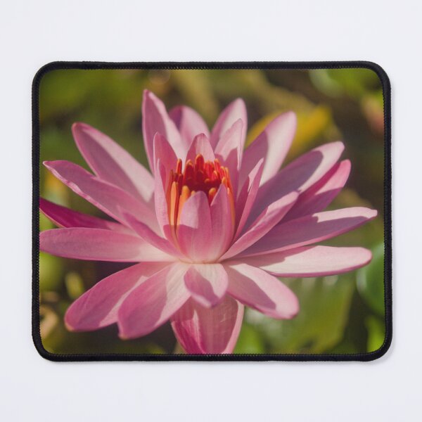 Item preview, blk lotus designed and sold by pcfyi.
