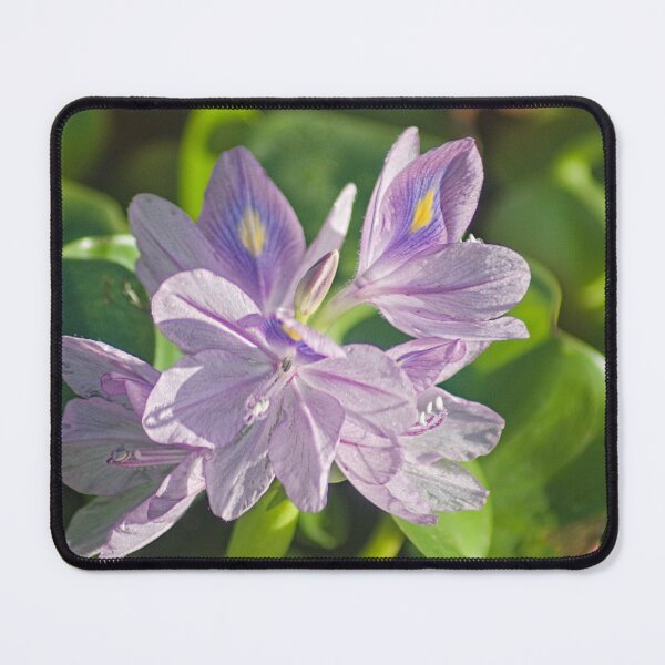 Item preview, blk plaque designed and sold by pcfyi.