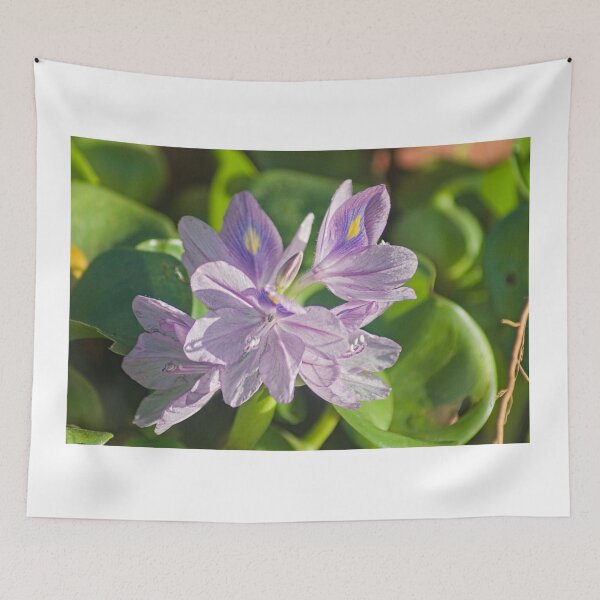 Item preview, blk plaque designed and sold by pcfyi.