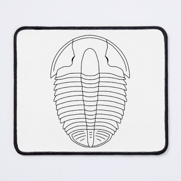 Item preview, Elrathia kingii designed and sold by ThePaleoDude.