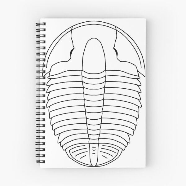 Item preview, Elrathia kingii designed and sold by ThePaleoDude.