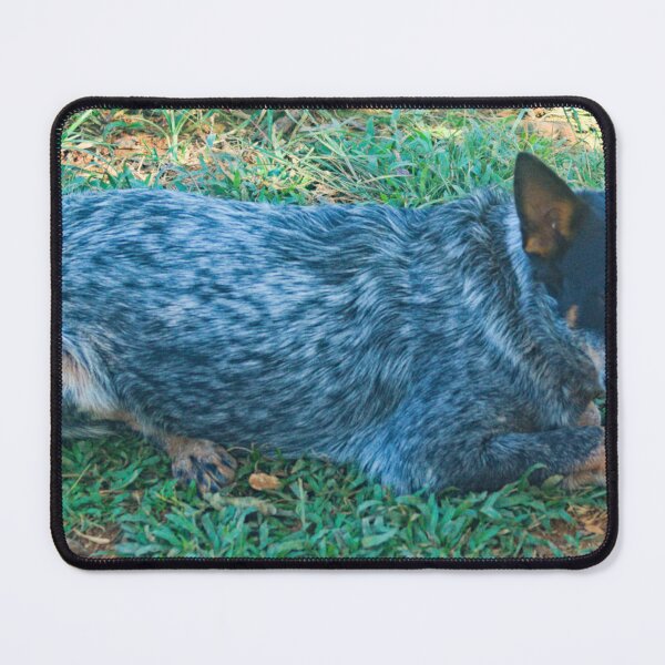 Item preview, blk blue dog designed and sold by pcfyi.