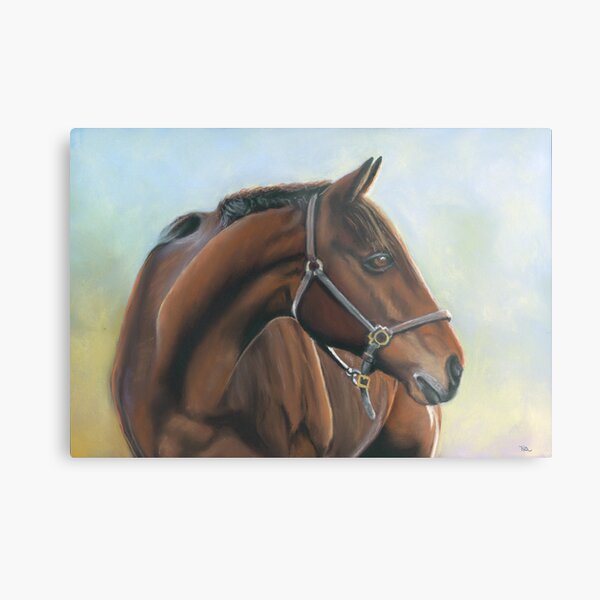 abandoned horse Metal Print