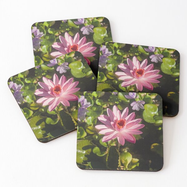 Item preview, blk lotus in pond designed and sold by pcfyi.