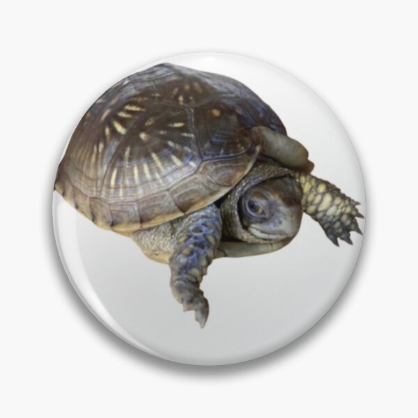 Item preview, BearTheTurtle designed and sold by BearTheTurtle.