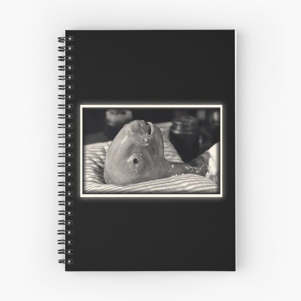 Item preview, Eraserhead Baby // David Lynch designed and sold by acquiesce13.