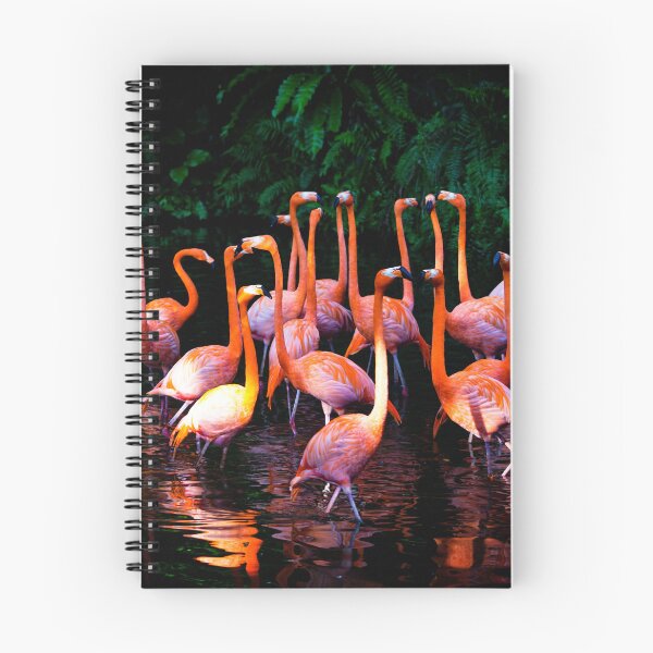 Item preview, Birds 161 - (c) ben yassa designed and sold by beny .