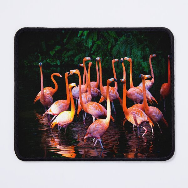 Item preview, Birds 161 - (c) ben yassa designed and sold by beny .