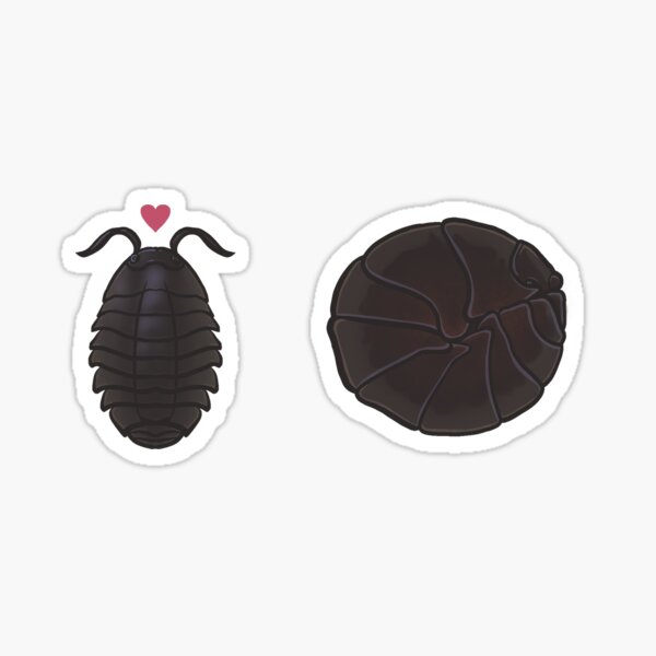 Roly Poly Bug Merch & Gifts for Sale | Redbubble