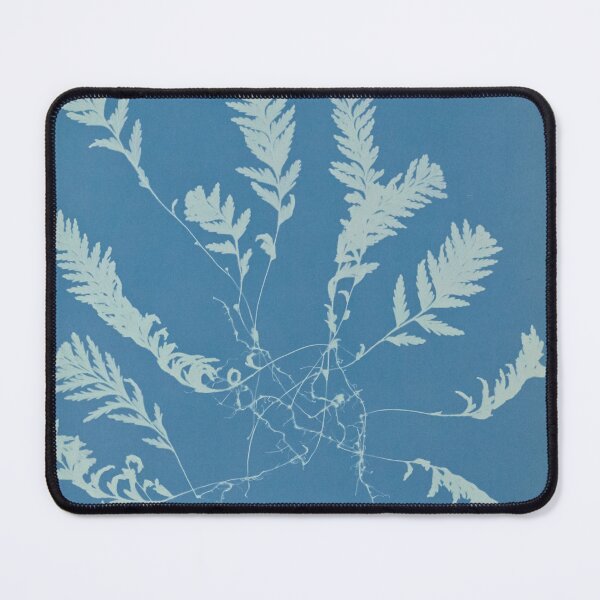 Item preview, Study of Hymenophyllum sericeum designed and sold by LegacyPressCo.