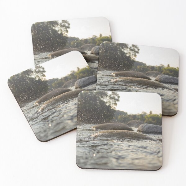 Item preview, H2o designed and sold by ricobarinas.