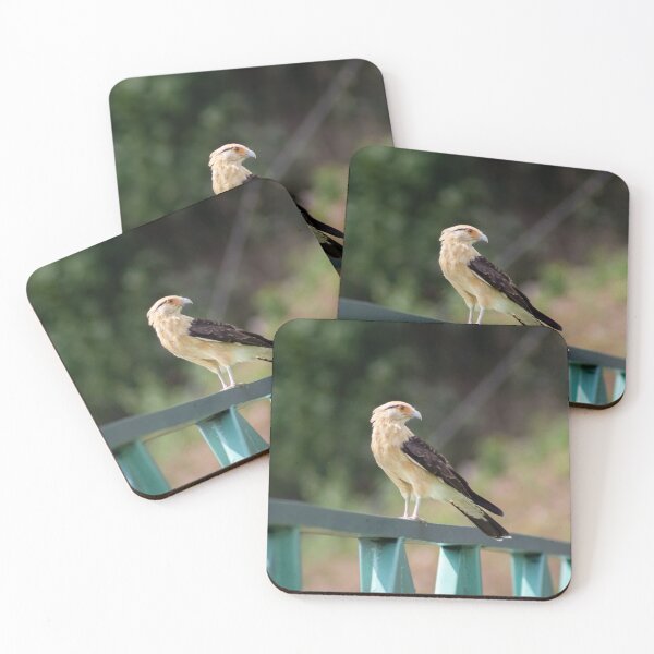 Item preview, the little eagle designed and sold by ricobarinas.