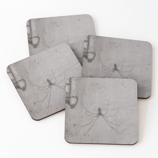 Item preview, BW_Spider 01 designed and sold by ROSE ANN BANILAR.