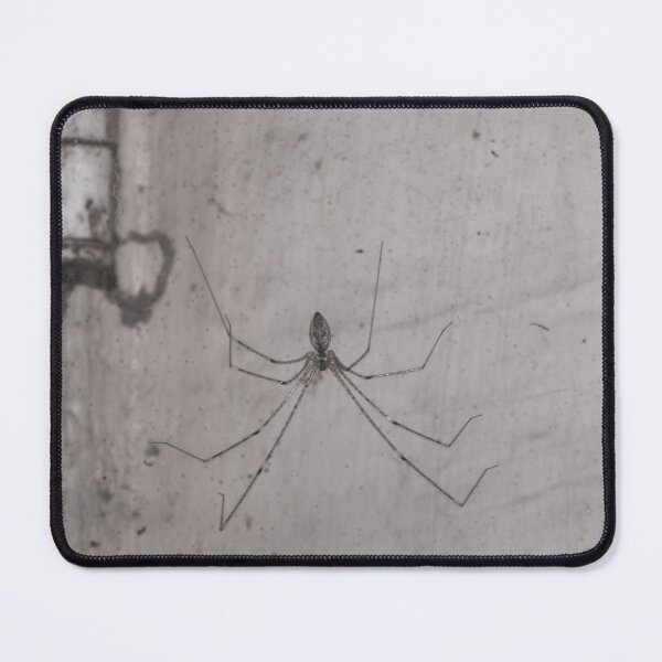Item preview, BW_Spider 01 designed and sold by ROSE ANN BANILAR.
