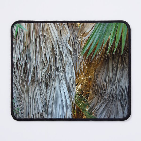 Item preview, Palm Fronds Old and New designed and sold by heatherfriedman.
