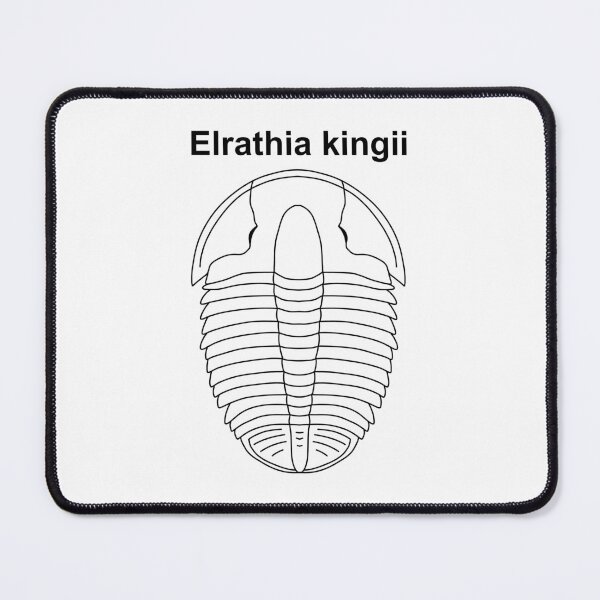 Item preview, Elrathia kingii Labeled designed and sold by ThePaleoDude.