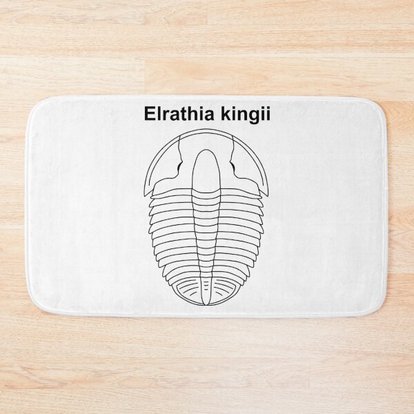 Item preview, Elrathia kingii Labeled   designed and sold by ThePaleoDude.