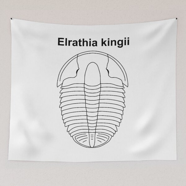 Item preview, Elrathia kingii Labeled   designed and sold by ThePaleoDude.
