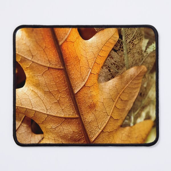Item preview, Fern Leaf designed and sold by Jeffrey Mask.