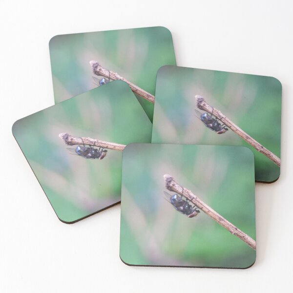 Item preview, Housefly designed and sold by ROSE ANN BANILAR.