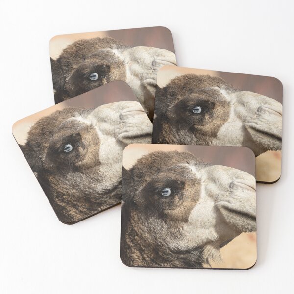 Item preview, Here's Looking At You designed and sold by Marylou Badeaux.