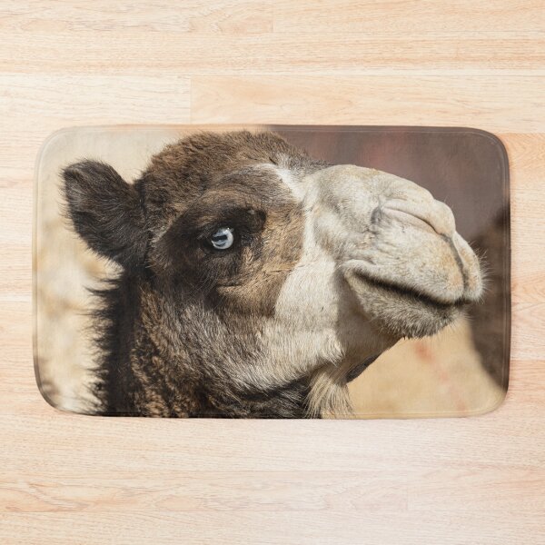 Item preview, Here's Looking At You designed and sold by Marylou Badeaux.