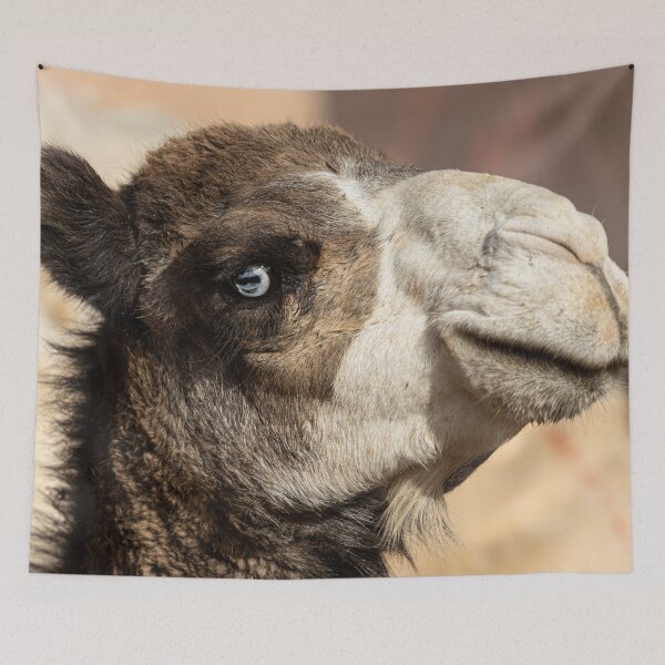 Item preview, Here's Looking At You designed and sold by Marylou Badeaux.
