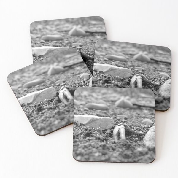 Item preview, Riverbed Remains designed and sold by tekmagika.
