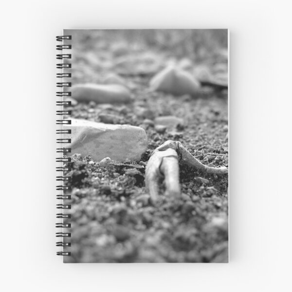 Item preview, Riverbed Remains designed and sold by tekmagika.