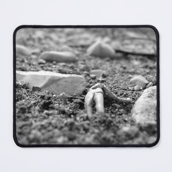 Item preview, Riverbed Remains designed and sold by tekmagika.