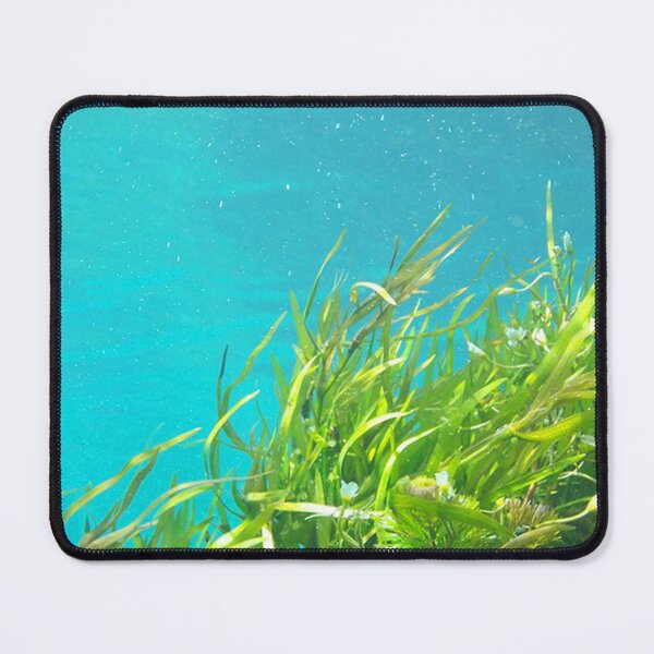 Item preview, Sunlight on green seaweed through turquoise blue water. designed and sold by claireseyeview.