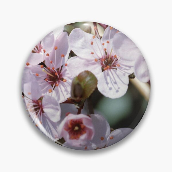 Item preview, Blossom close up  designed and sold by Debjaphotography.