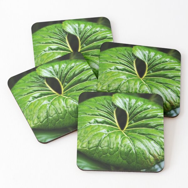 Item preview, Hoja grande - (c) ben yassa designed and sold by beny .
