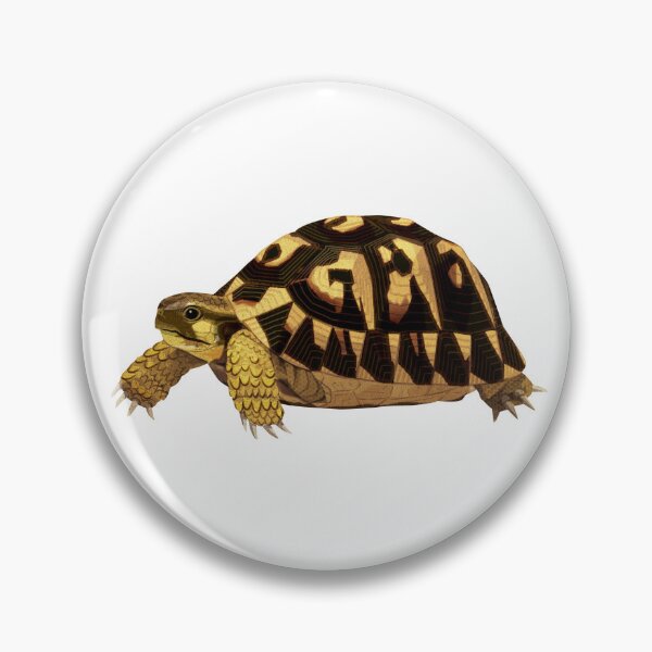 Item preview, Hermann's Tortoise designed and sold by Rie-TortoTurtle.
