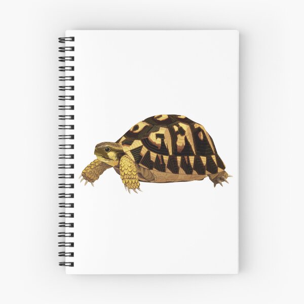 Item preview, Hermann's Tortoise designed and sold by Rie-TortoTurtle.