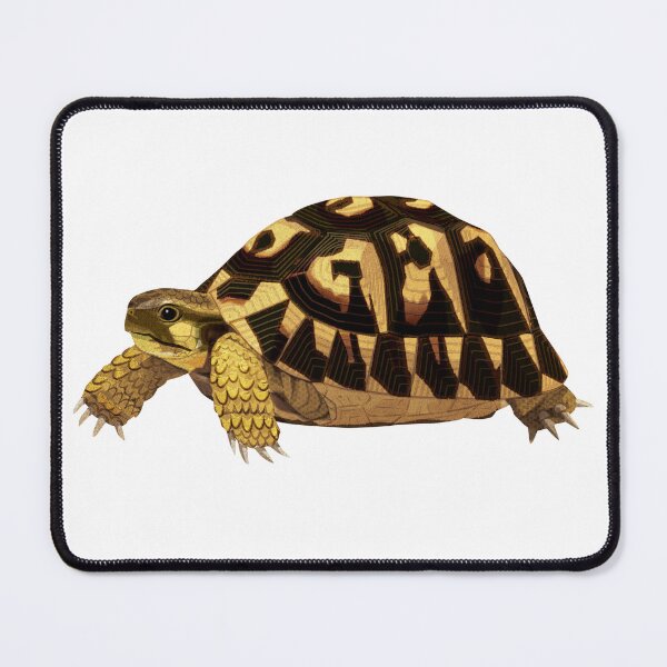 Item preview, Hermann's Tortoise designed and sold by Rie-TortoTurtle.