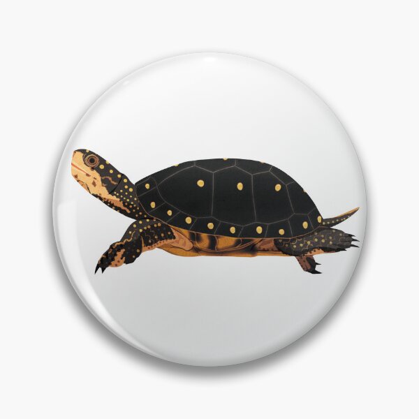 Item preview, Spotted Turtle designed and sold by Rie-TortoTurtle.