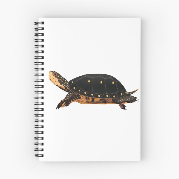 Item preview, Spotted Turtle designed and sold by Rie-TortoTurtle.