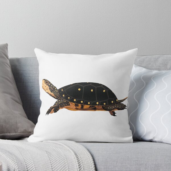 Item preview, Spotted Turtle designed and sold by Rie-TortoTurtle.