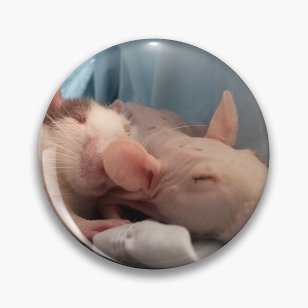 Item preview, Roommate Rats designed and sold by Susan Ward.