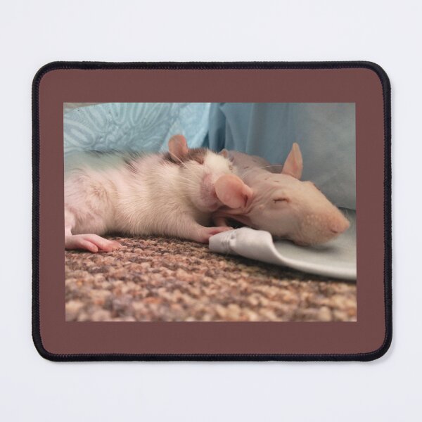 Item preview, Roommate Rats designed and sold by Susan Ward.