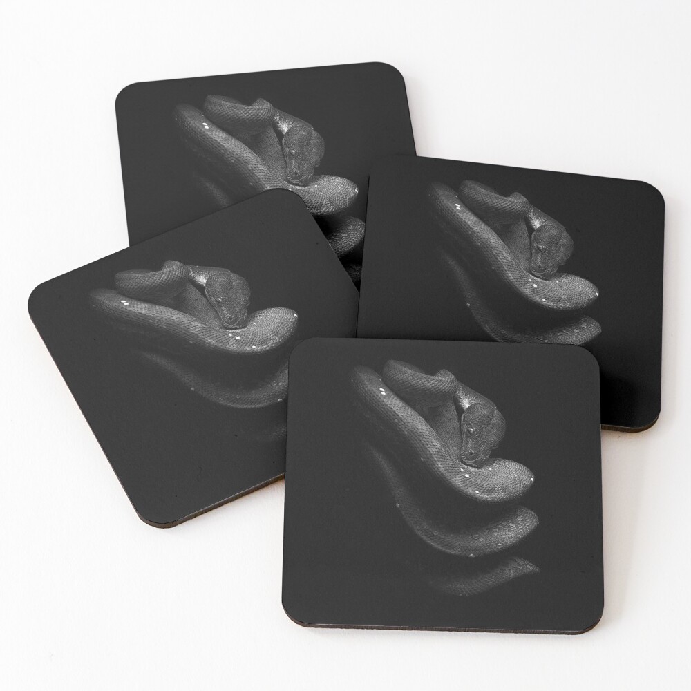 Item preview, Coasters (Set of 4) designed and sold by JRRTs.