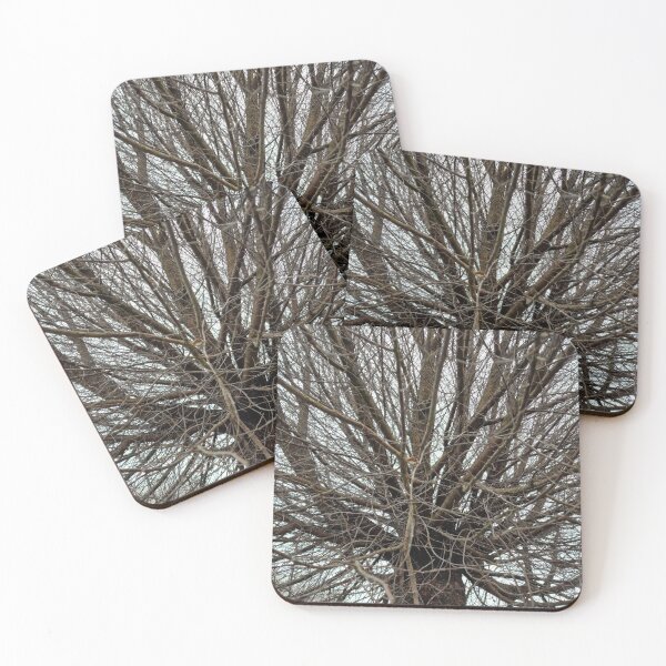 Item preview, Bald Tree Crown, Cloudy Sky designed and sold by Gaboro.