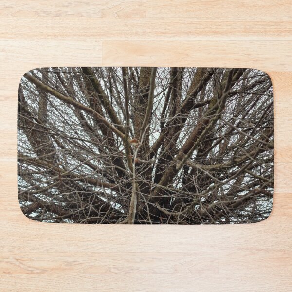 Item preview, Bald Tree Crown, Cloudy Sky designed and sold by Gaboro.