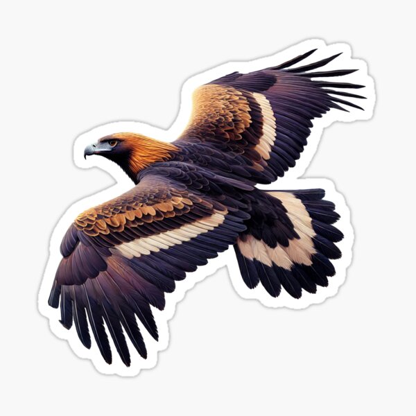 Item preview, Majestic Wedge-Tailed Eagle designed and sold by OtakuQuotes.