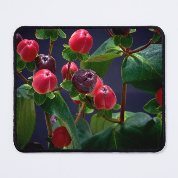 Item preview, red berries designed and sold by IgorKovalenko.