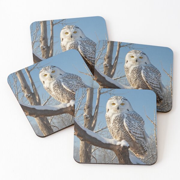 Item preview, Arctic Archipelago designed and sold by BCD BRANDS.