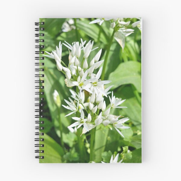 Item preview, Blooming Wild Garlic designed and sold by Kat Simmons.