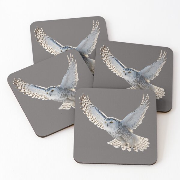 Item preview, Arctic Archipelago designed and sold by BCD BRANDS.