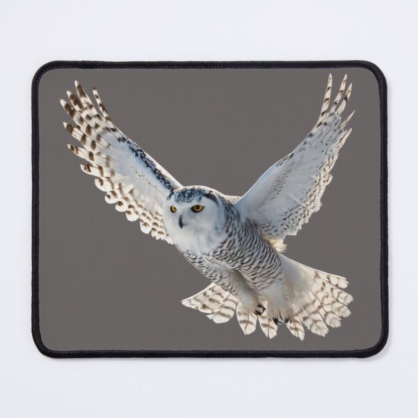 Item preview, Arctic Archipelago designed and sold by BCD BRANDS.